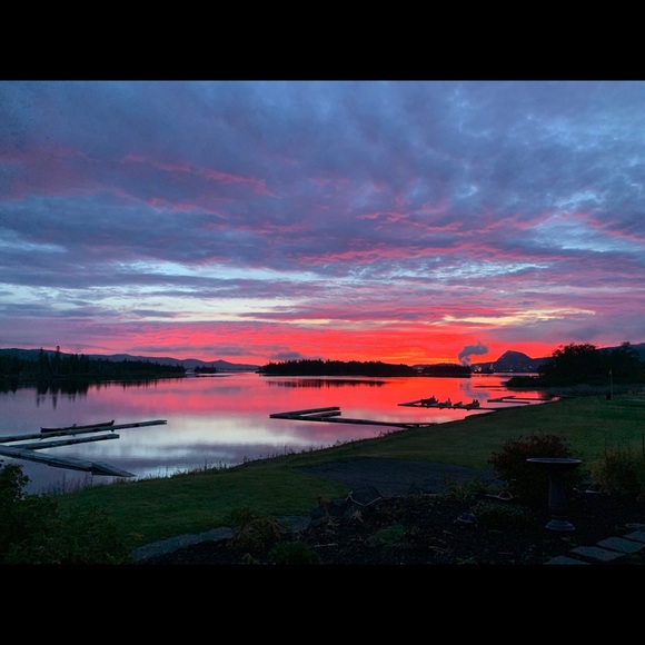 Meet your Posher, Alexandra - Picture 1 of 1